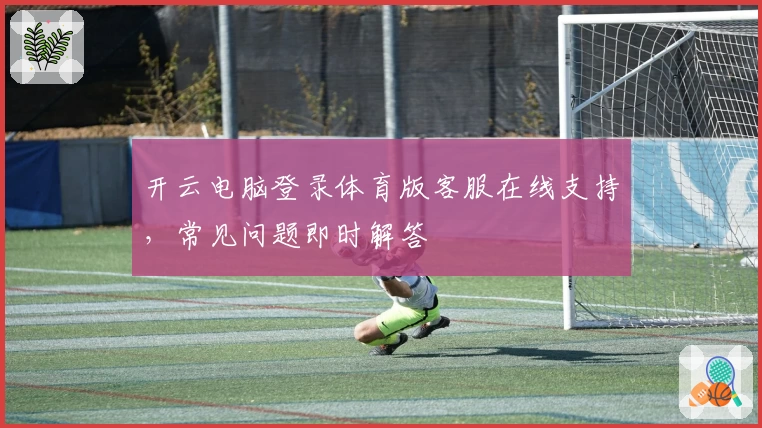开云电脑登录体育版客服在线支持，常见问题即时解答