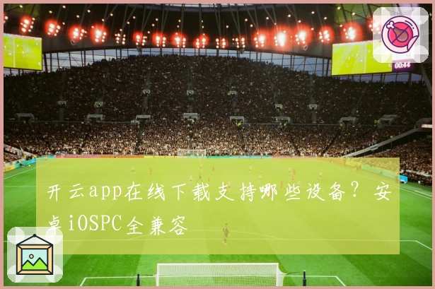 开云app在线下载支持哪些设备？安卓iOSPC全兼容