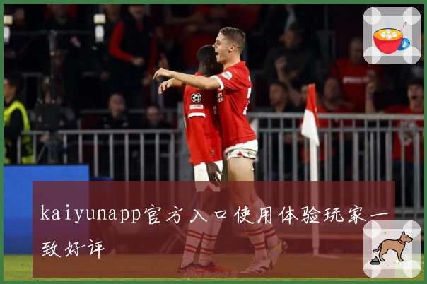 kaiyunapp官方入口使用体验玩家一致好评