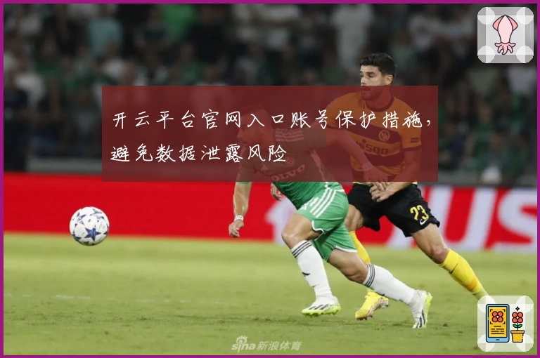 开云平台官网入口账号保护措施，避免数据泄露风险