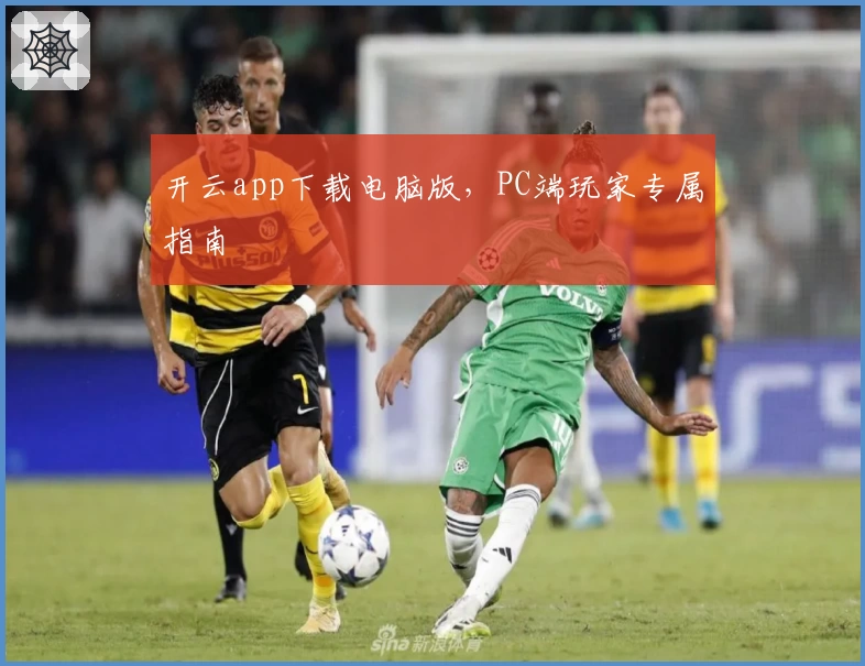 开云app下载电脑版，PC端玩家专属指南