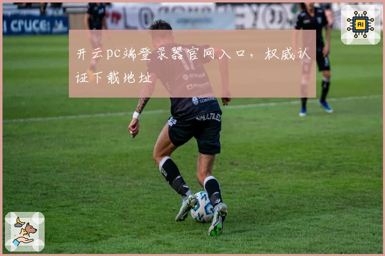 开云pc端登录器官网入口,权威认证下载地址