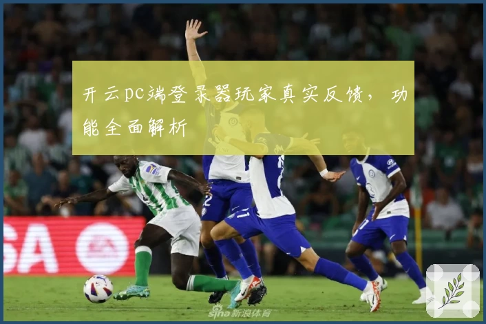 开云pc端登录器玩家真实反馈，功能全面解析